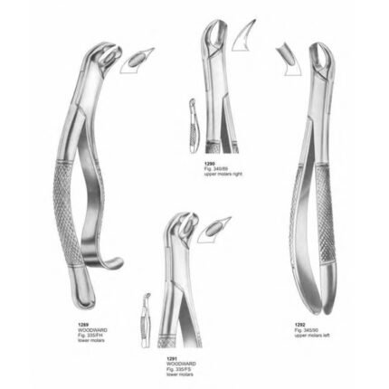 Extracting Forceps "American Pattern"